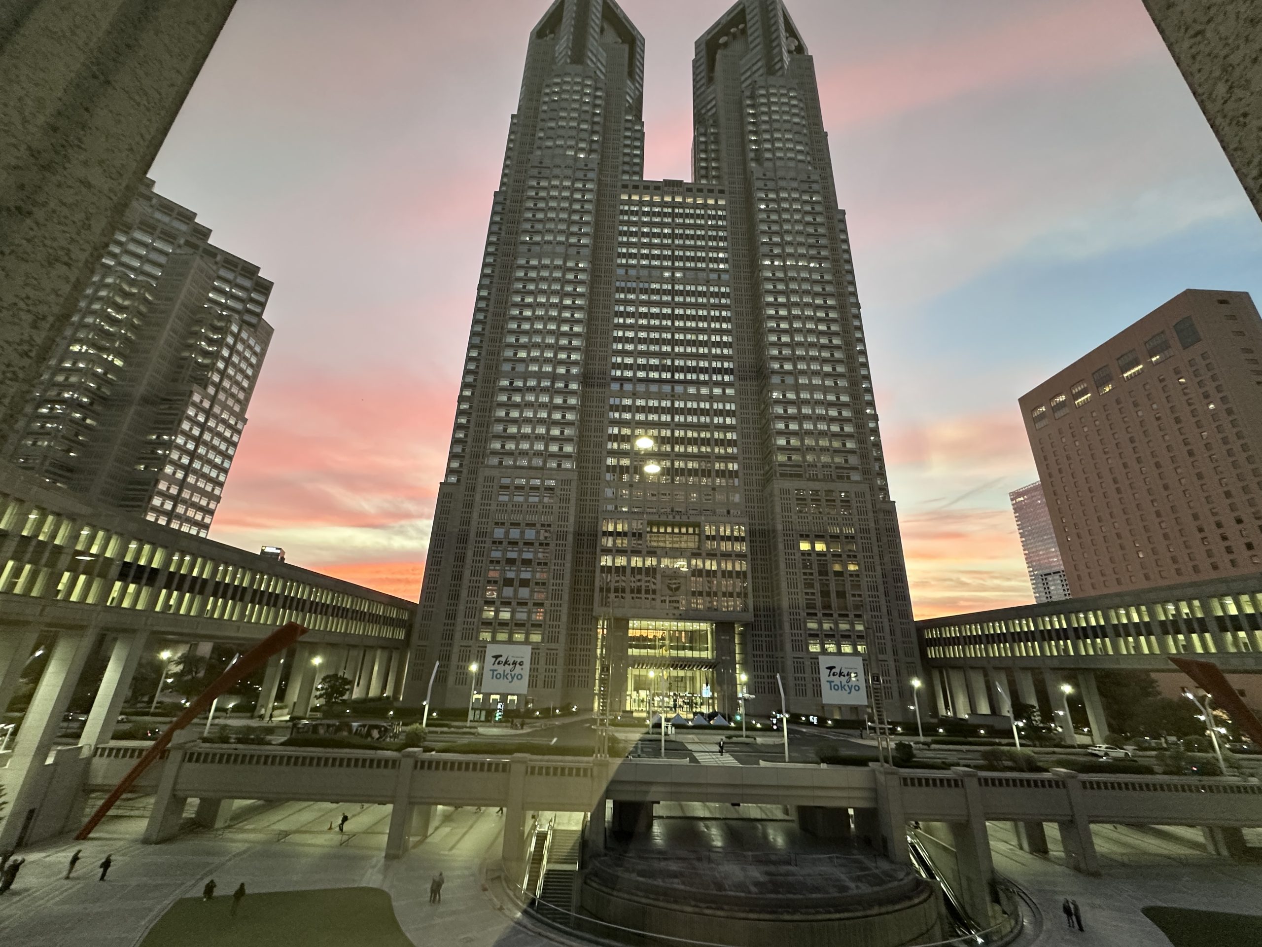 高齢者施策推進部長