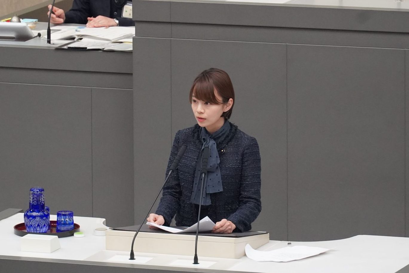 都議会一般質問をしました②独居高齢者の入退院等支援・就職氷河期の高齢化について